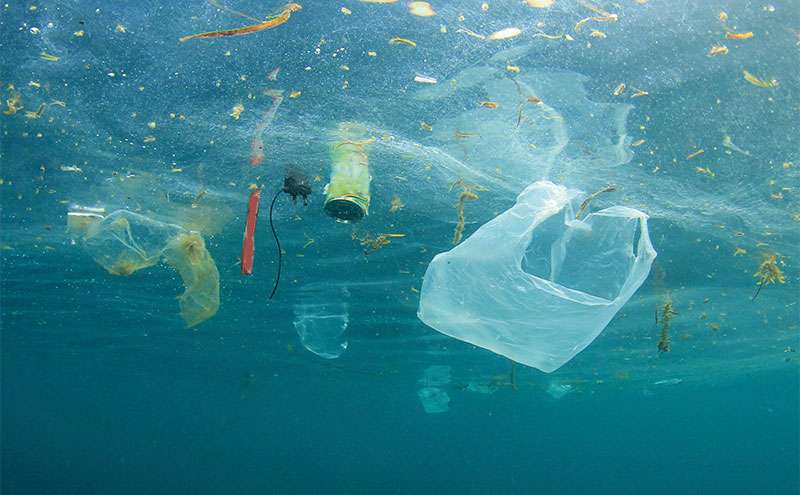 日本企業がプラスチック廃棄物を減らすために紙製品に注目